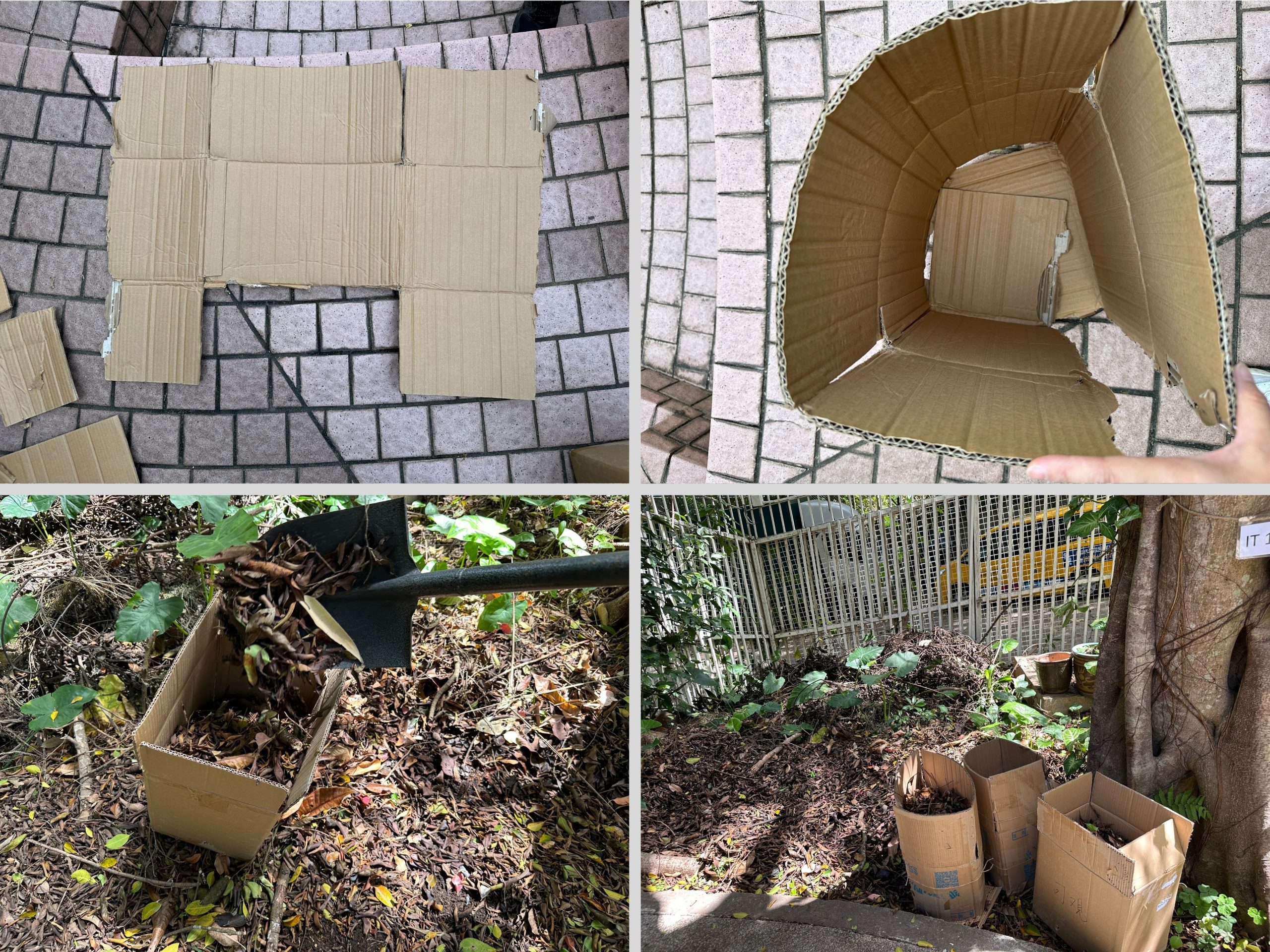 圖一：落葉膠囊製作步驟