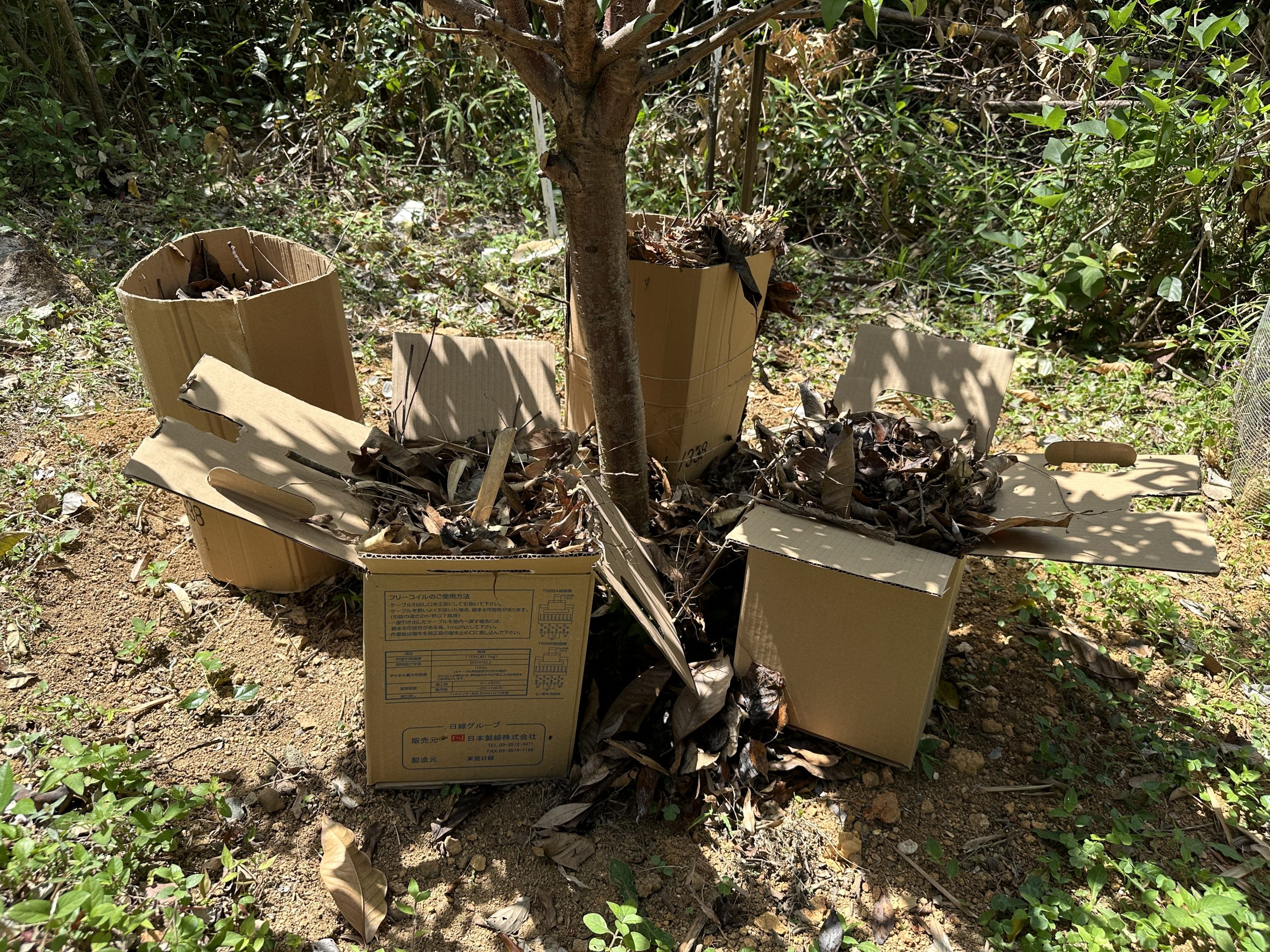 落葉膠囊覆蓋本來外露的泥土，減少水土流失